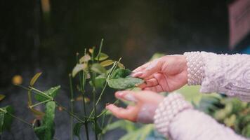 A bride holding a leaf in a garden, surrounded by lush greenery, creating a serene and romantic wedding moment video