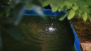 Water dripping abundantly into a fish pond, creating ripples and a serene atmosphere in the tranquil setting video