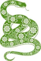 Chinese New Year Of The Snake Zodiac Green Snake With Decorative Patterns vector