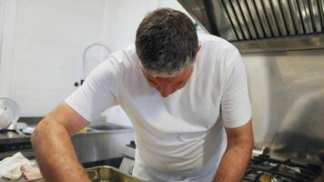 Chef Works In An Italian Restaurant Preparing A Second Course video