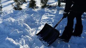 Woman shovels snow-covered path with focus and determination, clearing walkway in smooth slow motion. Winter landscape showcases snow and effort, creating a clear path through white snow. video