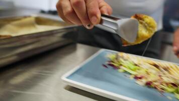 Chef Composes A Second Course With Fish Rolls Breaded In Breadcrumbs video