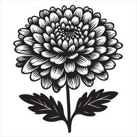 japanese chrysanthemum line drawing vector