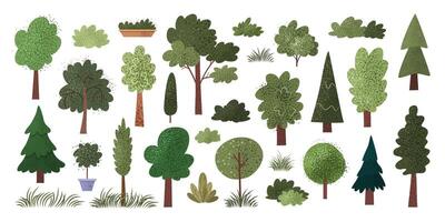 Set of different hand drawn trees, bushes and grass with textures. Isolated plants, fir tree, oak tree, maple, poplar, grass on white background. Nature icons for ecological designs. vector