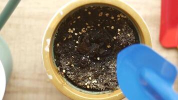 Gardening Essentials Planting in a Pot Using Quality Soil for Growth video