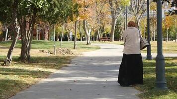 Woman in hijab walking in a park video