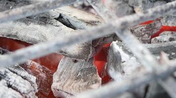 closeup of Burning charcoal grill video
