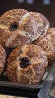 Freshly Baked Artisan Style Bread Rolls Topped with Various Seeds video