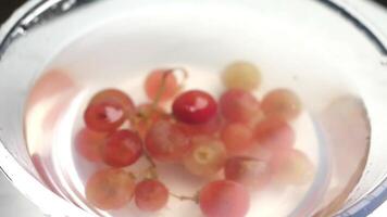 Fresh Red Grapes Submerged In Water Creating Bubbles video