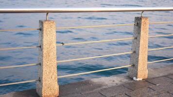 Metal railing by the calm water video