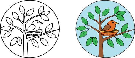 Bird Nest Tree Coloring Page Outline and Colored Version vector