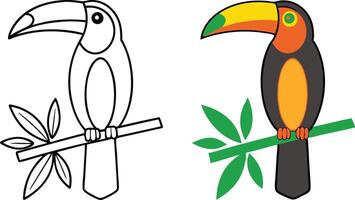 Tropical Toucan Bird Coloring Page Outline and Colored Version vector