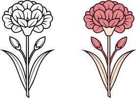 Elegant Carnation Floral Design Outline and Colored Version vector