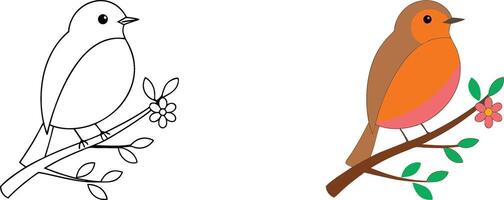 Robin Bird Coloring Page Simple Bird on Branch with Flowers vector