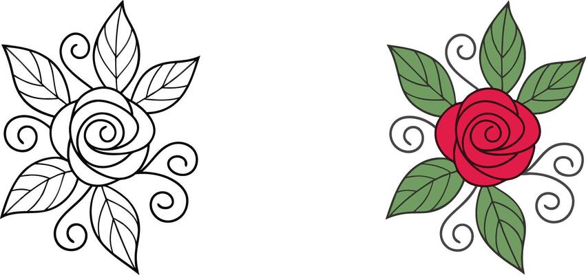 Rose Flower Design Outline, Colored, Leaves, Swirls, Botanical
