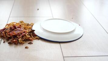 Spilled spaghetti on the floor video