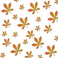 Autumn leaves and flowers background vector