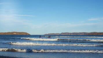 Group of surfers, dressed in black wet suits, paddle out into cool waters of the Arctic Ocean among rocks. They enter water, navigating through high, powerful waves. video