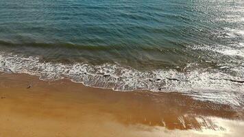 Waves Gently Reaching Sandy Beach. Close-up view of small waves lapping at the sandy shoreline, with shimmering water under bright sunlight creating a serene scene. video