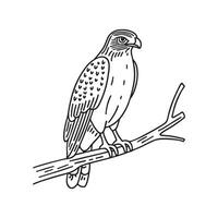 Hawk perched on the edge of a tree branch vector