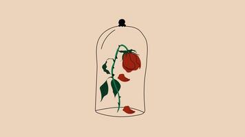 A withered rose in a glass bottle with falling leaves, representing an Anti Valentine's Day concept. Alpha channel transparency. Loop animation video
