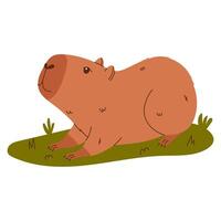 Cute capybara character. Exotic rodent relaxing on grass. Hand drawn illustration. vector