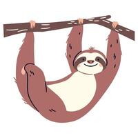 Flat illustration in a simple children's style. Cute sloth hanging on a branch on a tree on white background vector