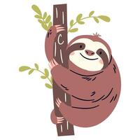 Flat illustration in a simple children's style. Cute sloth hanging on a branch on a tree on white background vector