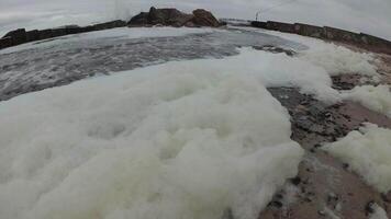 Sea foam during a storm in the Black Sea, water pollution, eutrophication video