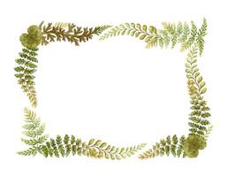Rectangular wreath with fern leaves botanical card template in earth tone. Hand drawn watercolor horizontal floral frame. Perfect for the use of ecological material and sustainable designs. vector