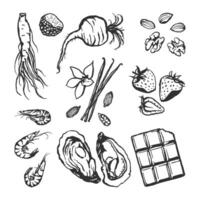 Set of hand drawn food aphrodisiacs. Different types of food elements for Valentines day, health topic design vector