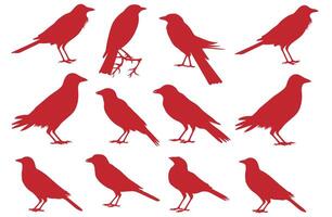 Pack of Black Bird Silhouettes for Design Projects vector