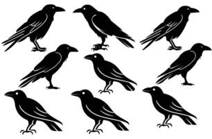 Collection of Crow Silhouettes for Graphic Design vector