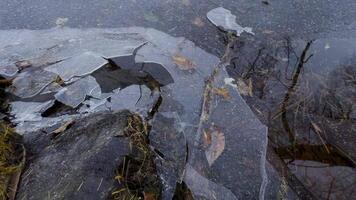 Close-up of shattered ice on a rocky lakeshore, with delicate reflections of bare tree branches on the surface. Captures the transition of seasons and the raw beauty of nature video