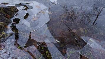 Close-up of shattered ice on a rocky lakeshore, with delicate reflections of bare tree branches on the surface. Captures the transition of seasons and the raw beauty of nature video
