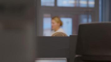 A Subtle yet Unique Viewpoint of a Office Featuring a Very Distinct Object of Interest. Stock Footage video