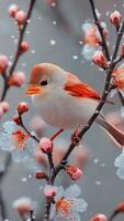 Little bird on branch in snowy weather video