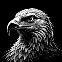 Intricate Line Art Illustration of a Powerful Eagle Head on Dark Background vector