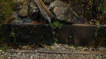 Stream in the forest. Spring nature. Water flows in a stream. Wild nature. video