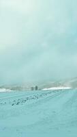 Empty winter road surrounded by towering snow banks leads towards snowy mountain. Trees and road are covered with fresh snow, which promises amazing day for powder riding in Poland Pieniny Mountains. video