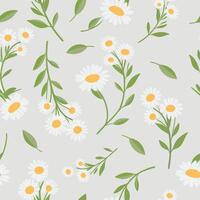 Daisy Floral Pattern on Light Green Background vector