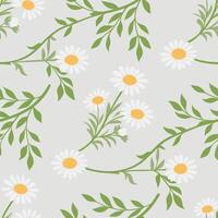 Light Green Floral Pattern with Blooming Daisy Motifs vector