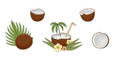 Coconuts with tropical leaves elements showcasing nature beauty and refreshing drink ideas in a vibrant setting. Coconut broken into several pieces. Isolated illustration. vector