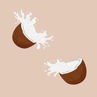 Coconuts bursting open and splashing coconut water in minimalist style. Isolated illustration. vector
