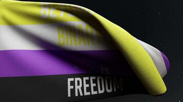 Non binary Flag with Text Beyond the Binary There is Freedom video