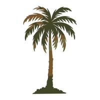 A palm tree symbol. Isolated black coconut palm silhouette on a white background vector