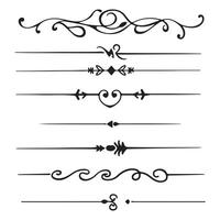 Isolated on white are the frame and dividers. Elements of calligraphic design vector