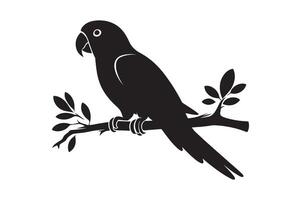 parrot sitting on a branch vector