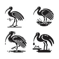 High-Quality Glossy Ibis Silhouette Vectors for Creative Branding
