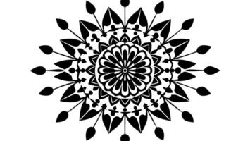 Clean and simple floral ornament divider free for elegant designs vector